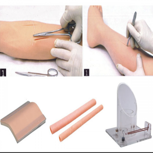 外科综合技能训练组合模型